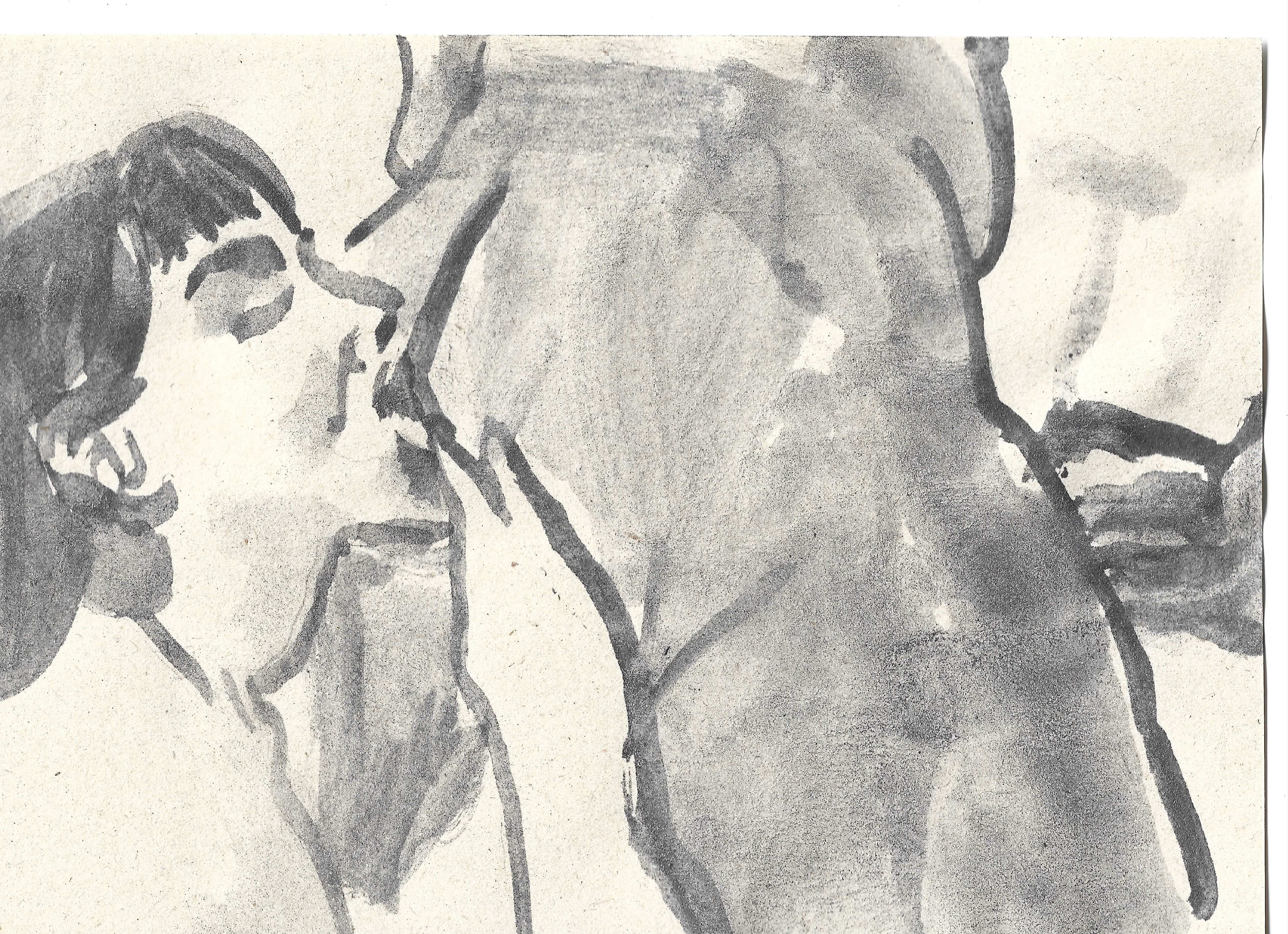 Ilustraciones por Caperán Caperán.